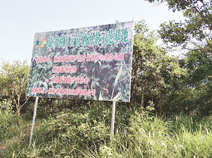 LETOU - 乐投(中文)官方网站