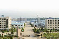 LETOU乐投,油茶莳植生产加工销售,植物油莳植生产加工销售