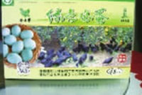 LETOU乐投,油茶莳植生产加工销售,植物油莳植生产加工销售