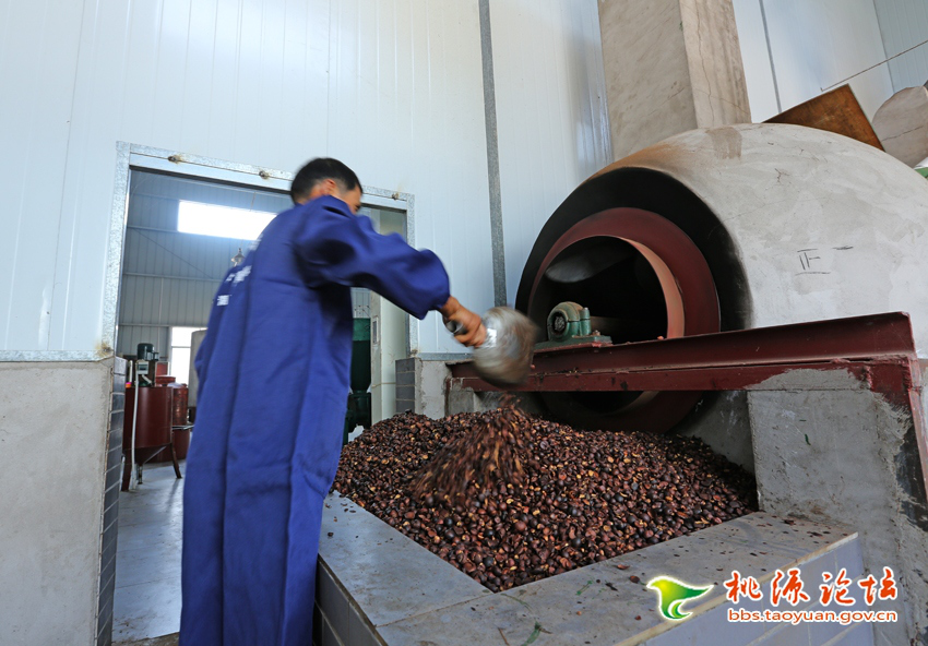 LETOU乐投,油茶莳植生产加工销售,植物油莳植生产加工销售