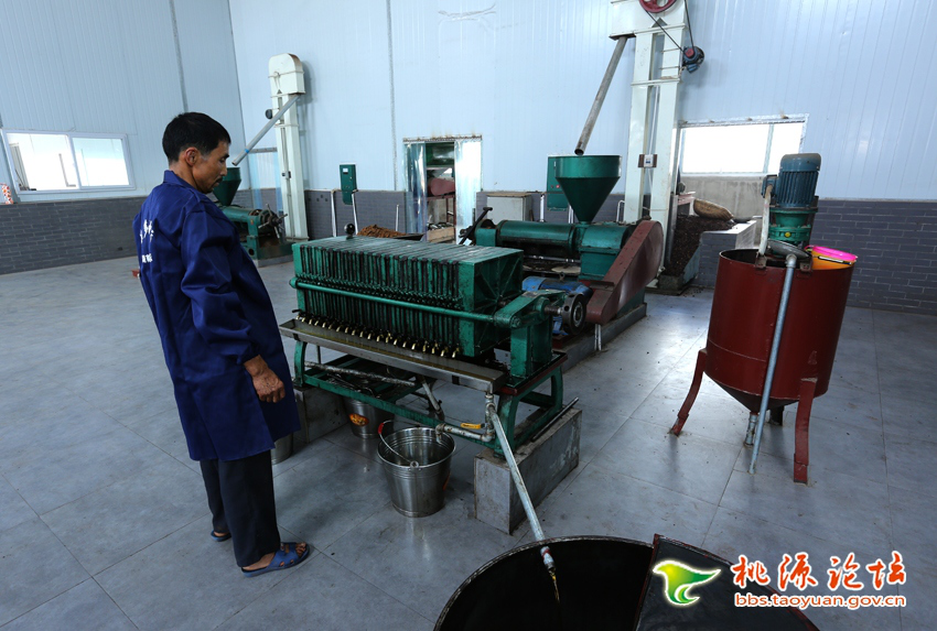 LETOU乐投,油茶莳植生产加工销售,植物油莳植生产加工销售