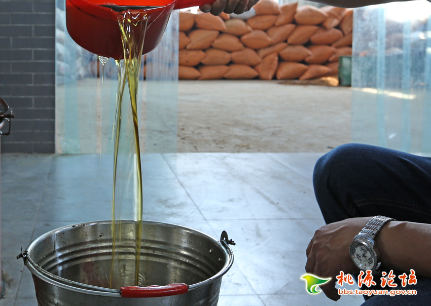 LETOU乐投,油茶莳植生产加工销售,植物油莳植生产加工销售