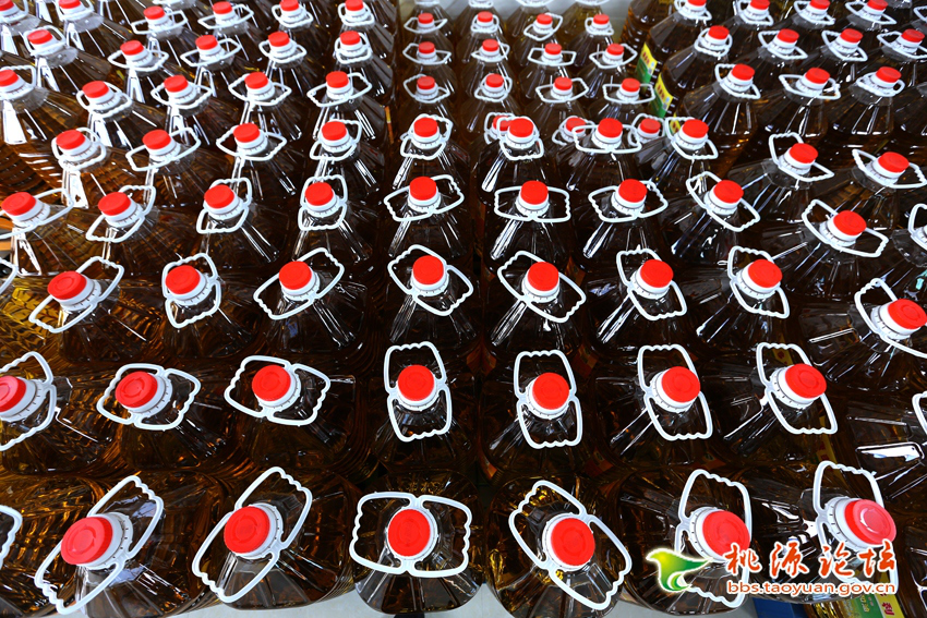 LETOU乐投,油茶莳植生产加工销售,植物油莳植生产加工销售