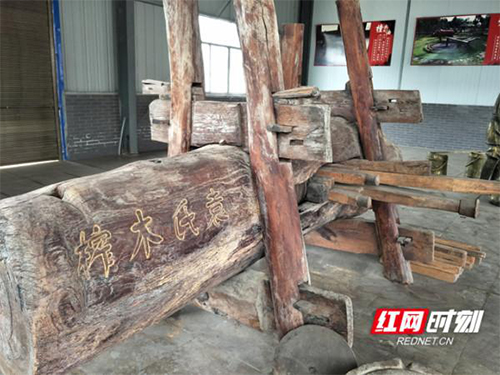 LETOU乐投,油茶莳植生产加工销售,植物油莳植生产加工销售