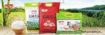 LETOU乐投,油茶莳植生产加工销售,植物油莳植生产加工销售